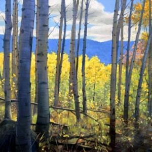 Aspen Grove, by Bradley Stevens